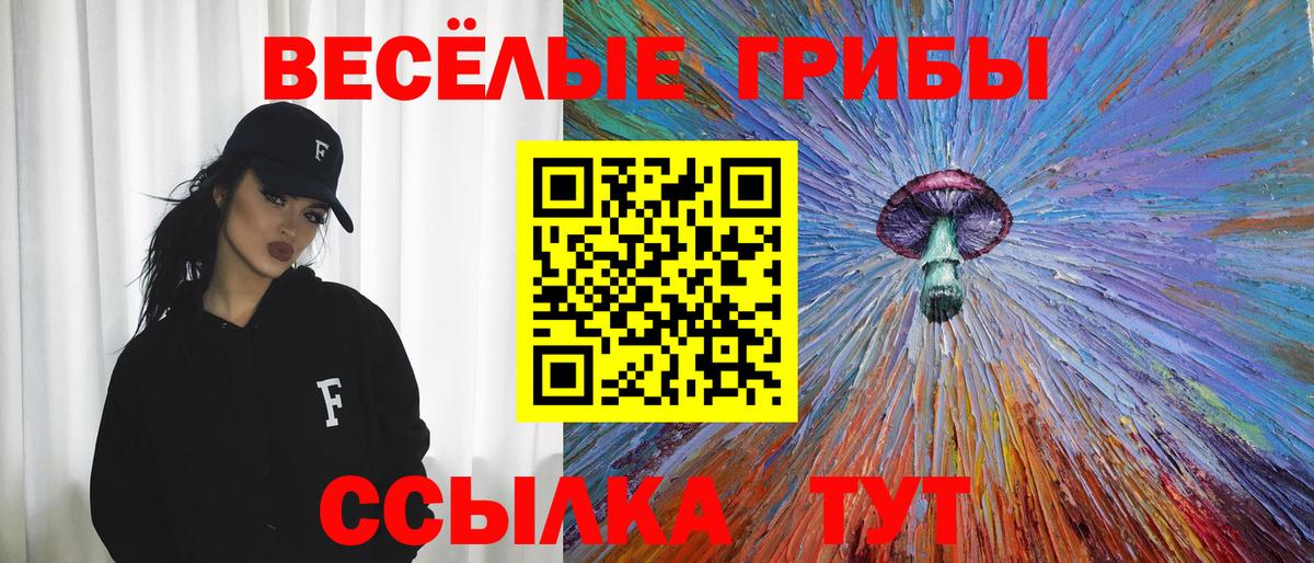 Галлюциногенные грибы мицелий Сокол