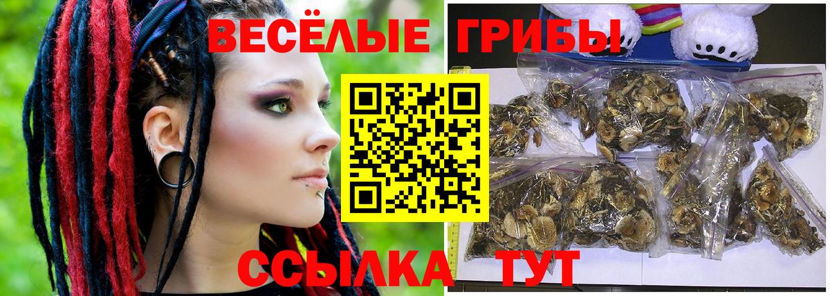 Галлюциногенные грибы мицелий  Вход с VPN  Псилоцибиновые грибы GOLDEN TEACHER  Сокол 